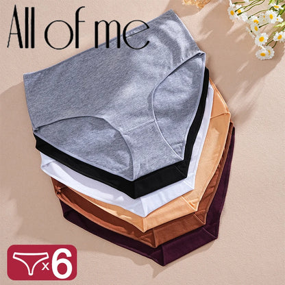 Cotton High Waist Panties - Women’s Seamless Breathable Briefs Set S-2XL - ZOOMNSTORE