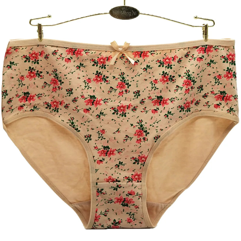Cotton Mid Rise Womens Briefs - Soft Sexy Plus Size Panties 3 Pcs - ZOOMNSTORE