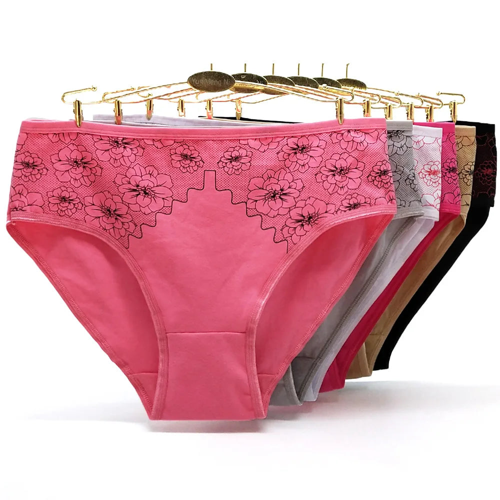 Cotton Mid Rise Womens Briefs - Soft Sexy Plus Size Panties 3 Pcs - ZOOMNSTORE