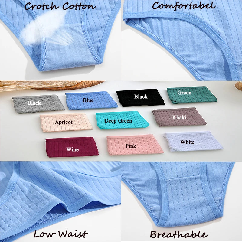 Cotton Panties Women - 3PCS Set Low Rise Briefs | Comfortable Breathable Underwear - ZOOMNSTORE