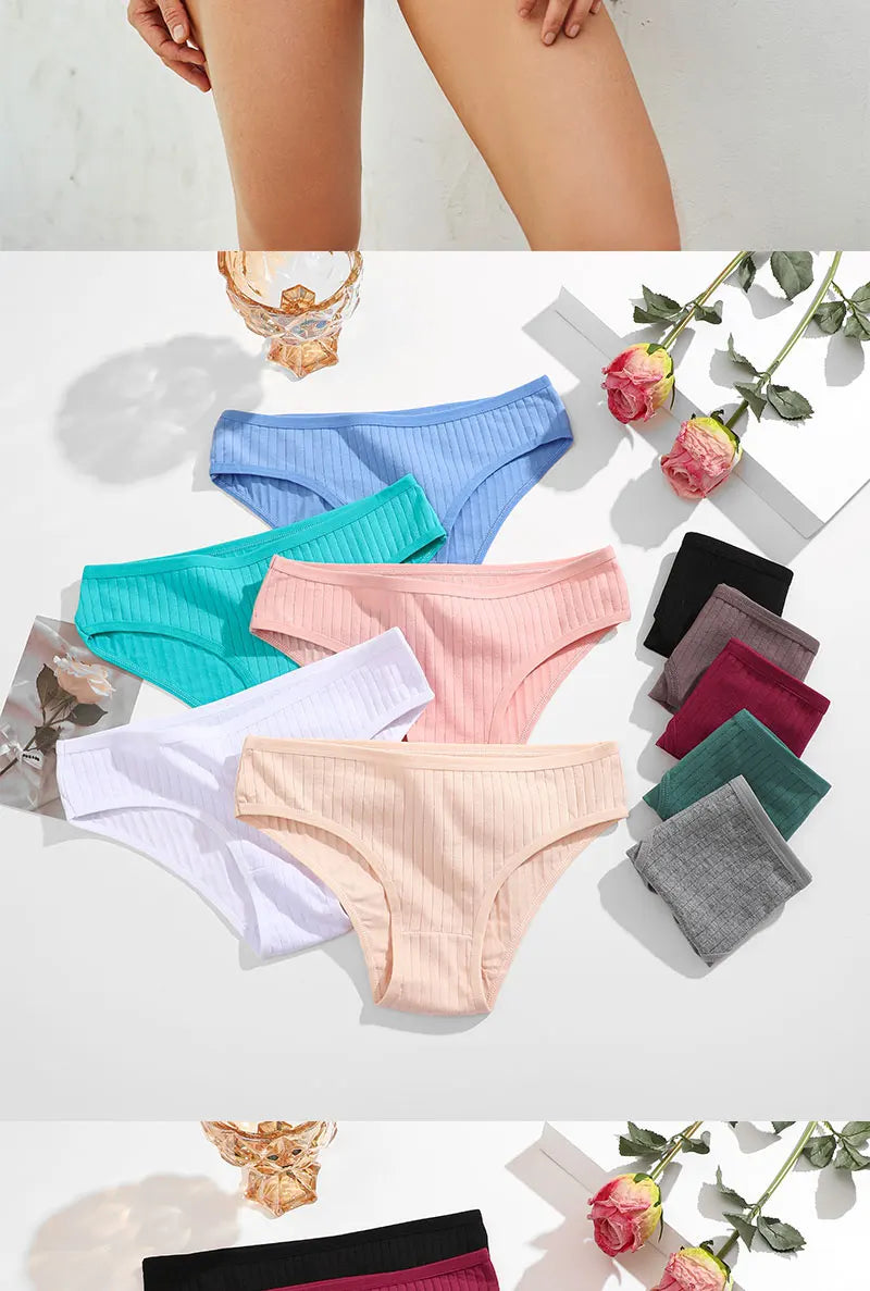 Cotton Panties Women - 3PCS Set Low Rise Briefs | Comfortable Breathable Underwear - ZOOMNSTORE