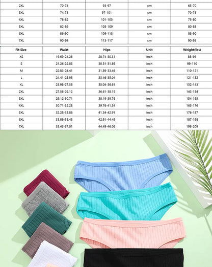 Cotton Panties Women - 3PCS Set Low Rise Briefs | Comfortable Breathable Underwear - ZOOMNSTORE