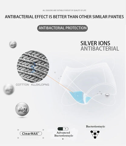 Cotton Panties Women - Sexy Lace Brazilian Briefs Low Waist Breathable Underwear - ZOOMNSTORE