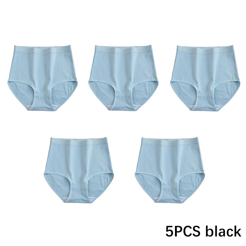 Cotton Plus Size Panties - Seamless Women's Briefs | Soft Breathable Underwear Set - ZOOMNSTORE