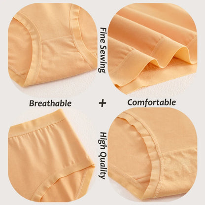 Cotton Seamless Panties - High Waist Briefs With Elastic Waistband | Breathable Women Underwear - ZOOMNSTORE