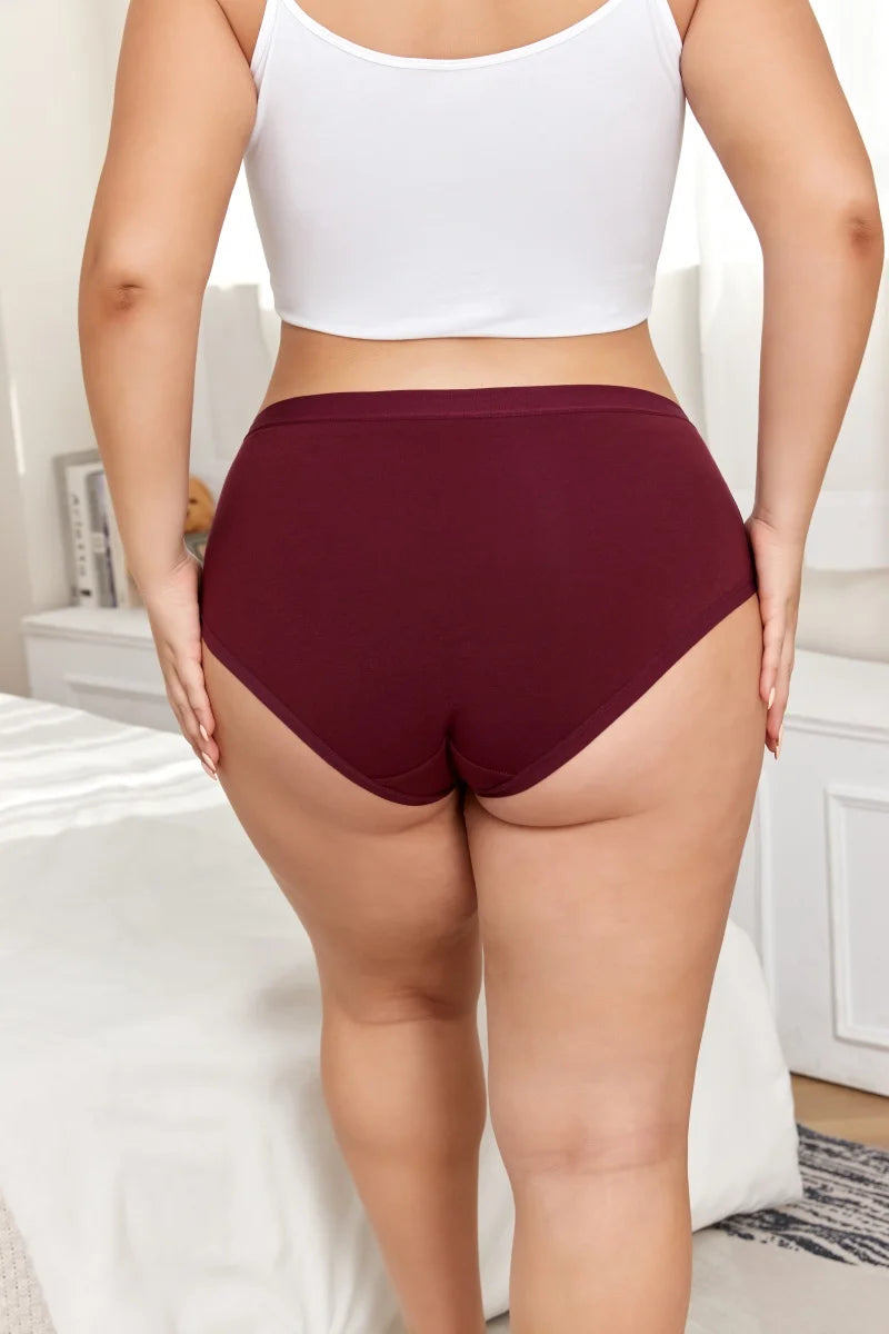 Cotton Seamless Panties - High Waist Briefs With Elastic Waistband | Breathable Women Underwear - ZOOMNSTORE