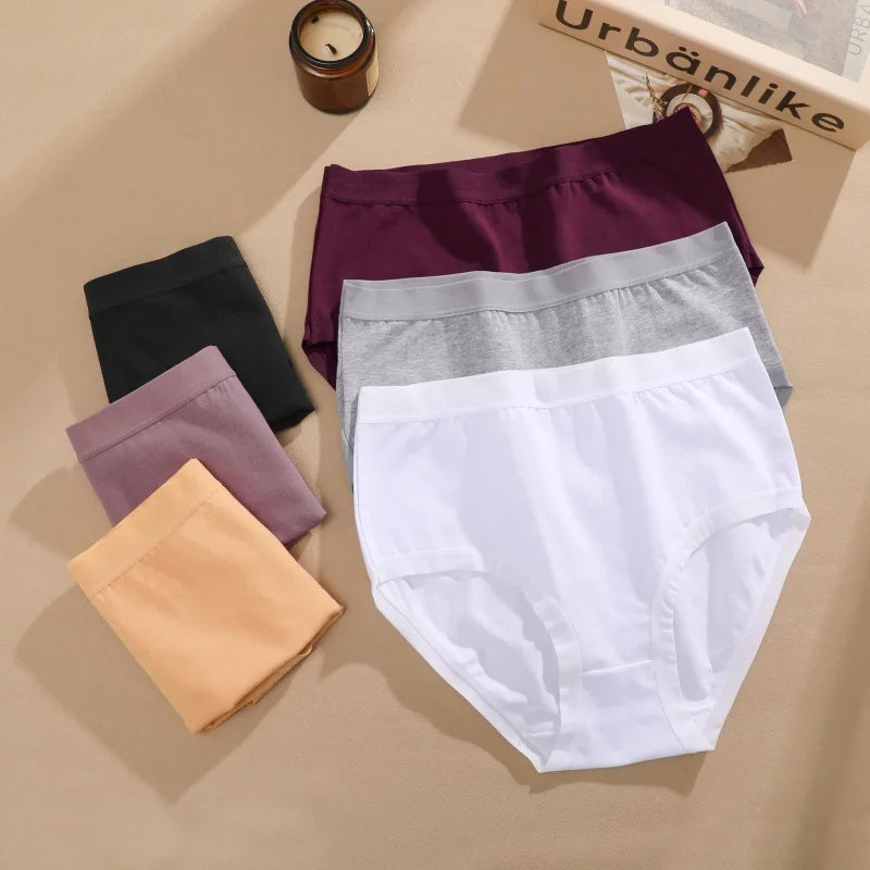 Cotton Seamless Panties - High Waist Briefs With Elastic Waistband | Breathable Women Underwear - ZOOMNSTORE