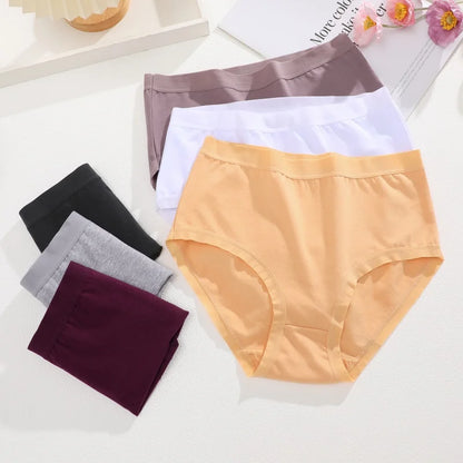 Cotton Seamless Panties - High Waist Briefs With Elastic Waistband | Breathable Women Underwear - ZOOMNSTORE