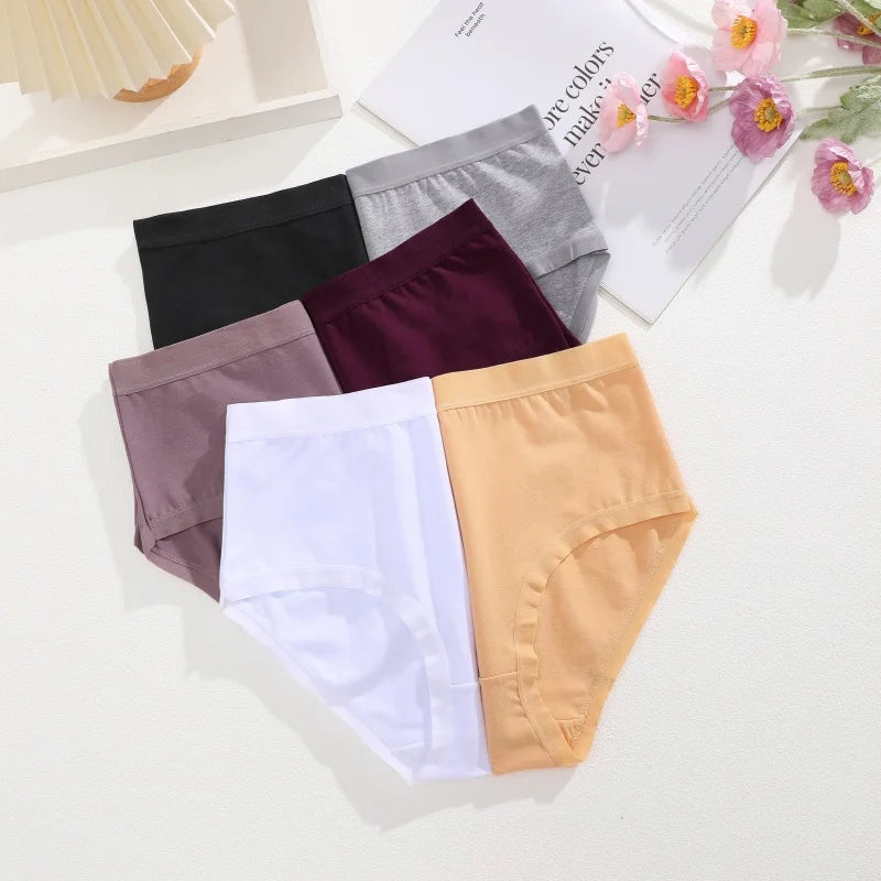 Cotton Seamless Panties - High Waist Briefs With Elastic Waistband | Breathable Women Underwear - ZOOMNSTORE