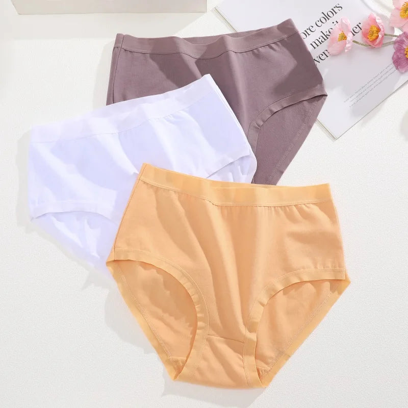 Cotton Seamless Panties - High Waist Briefs With Elastic Waistband | Breathable Women Underwear - ZOOMNSTORE