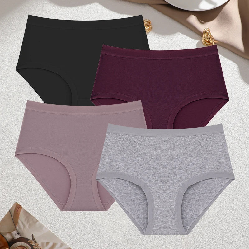 Cotton Seamless Panties - High Waist Briefs With Elastic Waistband | Breathable Women Underwear - ZOOMNSTORE