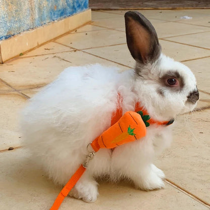 Cute Bunny Guinea Pig Harness  Leash Set - Small Animal Accessories - ZOOMNSTORE