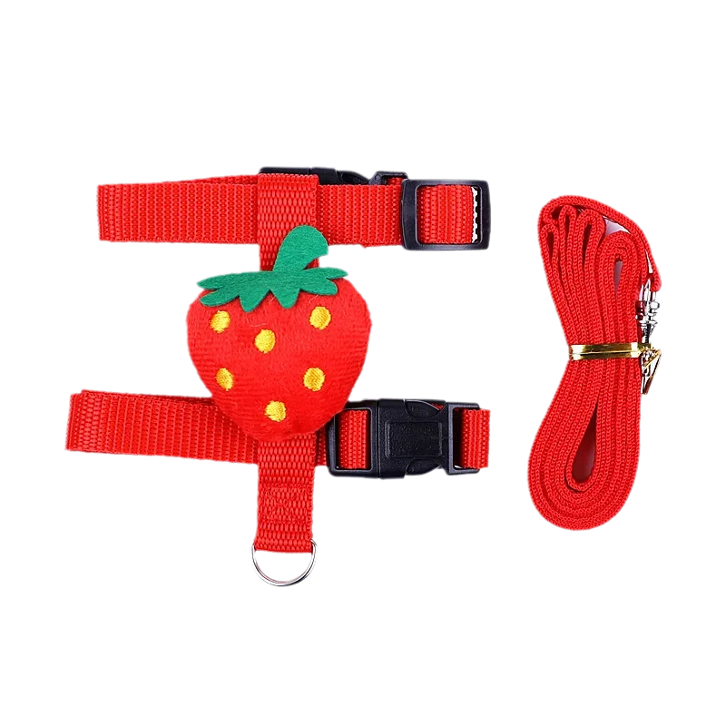 Cute Bunny Guinea Pig Harness  Leash Set - Small Animal Accessories - ZOOMNSTORE