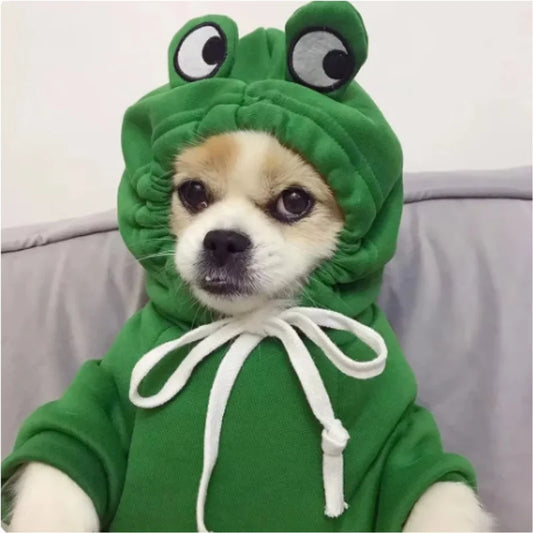 Green Cute Frog Pet Sweater - Puppy Hoodie for Dogs and Cats - ZOOMNSTORE