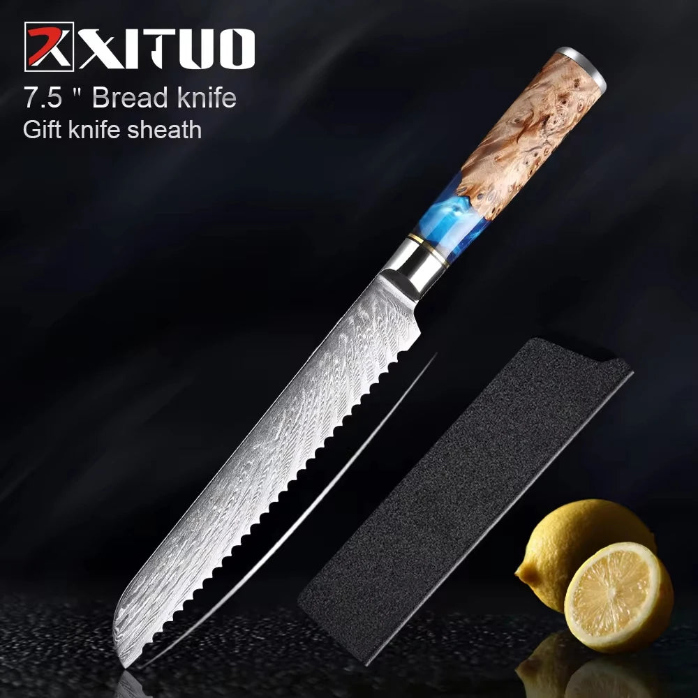 Damascus Steel Chefs Knife - Sharp Clad Steel Kitchen Knife with Blue Resin Handle  Custom Logo Gift Box - ZOOMNSTORE