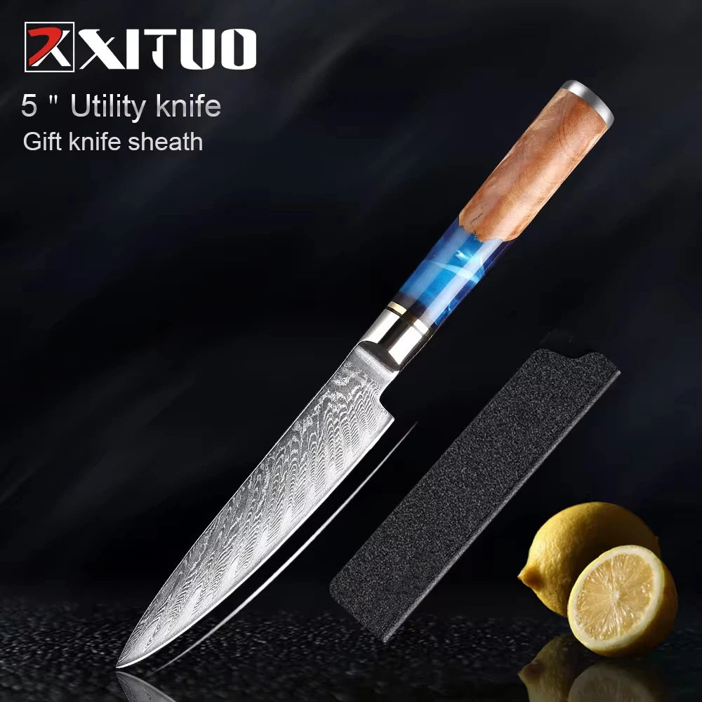 Damascus Steel Chefs Knife - Sharp Clad Steel Kitchen Knife with Blue Resin Handle  Custom Logo Gift Box - ZOOMNSTORE