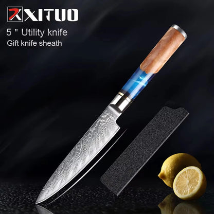 Damascus Steel Chefs Knife - Sharp Clad Steel Kitchen Knife with Blue Resin Handle  Custom Logo Gift Box - ZOOMNSTORE