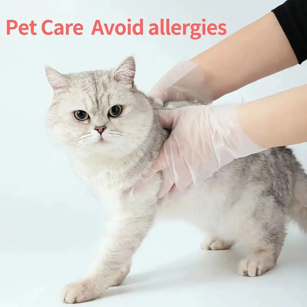 Disposable Food Gloves - 100Pcs TPE Clear Powder Free Non Slip Kitchen Safety Gloves - ZOOMNSTORE