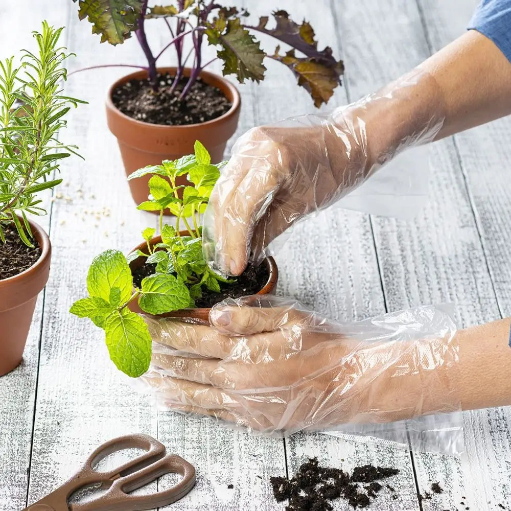 Disposable Food Gloves - 100Pcs TPE Clear Powder Free Non Slip Kitchen Safety Gloves - ZOOMNSTORE