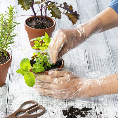 Disposable Food Gloves - 100Pcs TPE Clear Powder Free Non Slip Kitchen Safety Gloves - ZOOMNSTORE