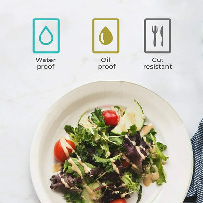 Eco-Friendly Disposable Paper Plates - 50100pcs for Parties  BBQs - ZOOMNSTORE