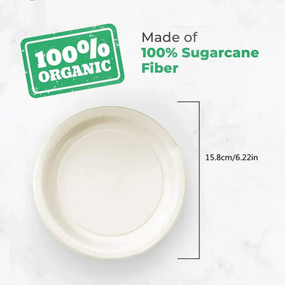 Eco-Friendly Disposable Paper Plates - 50100pcs for Parties  BBQs - ZOOMNSTORE