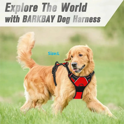 Dog Accessories Set - Leather Collars Harnesses Vests  Leash for Medium  Small Puppies - ZOOMNSTORE