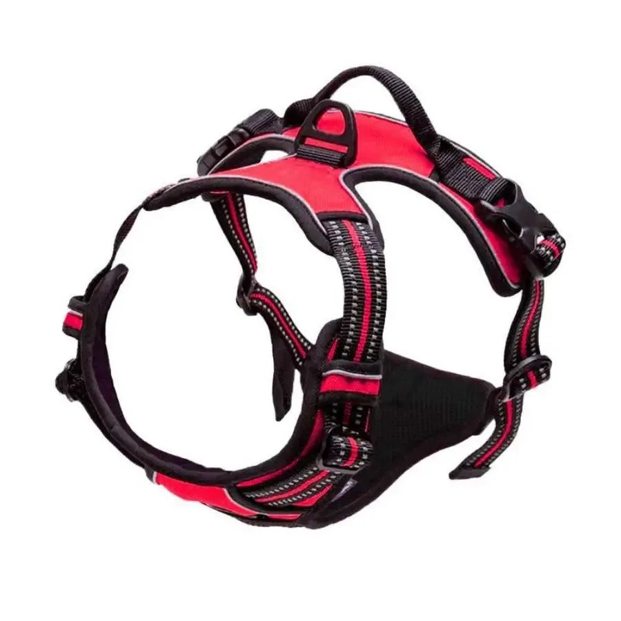 Dog Accessories Set - Leather Collars Harnesses Vests  Leash for Medium  Small Puppies - ZOOMNSTORE