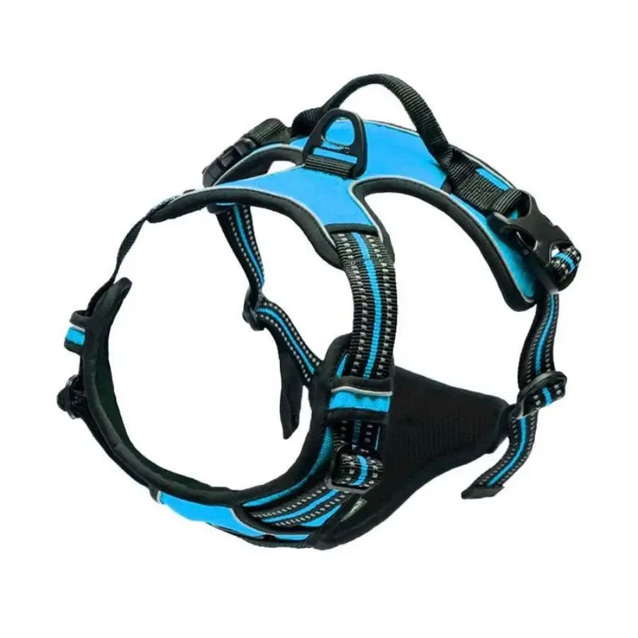 Dog Accessories Set - Leather Collars Harnesses Vests  Leash for Medium  Small Puppies - ZOOMNSTORE