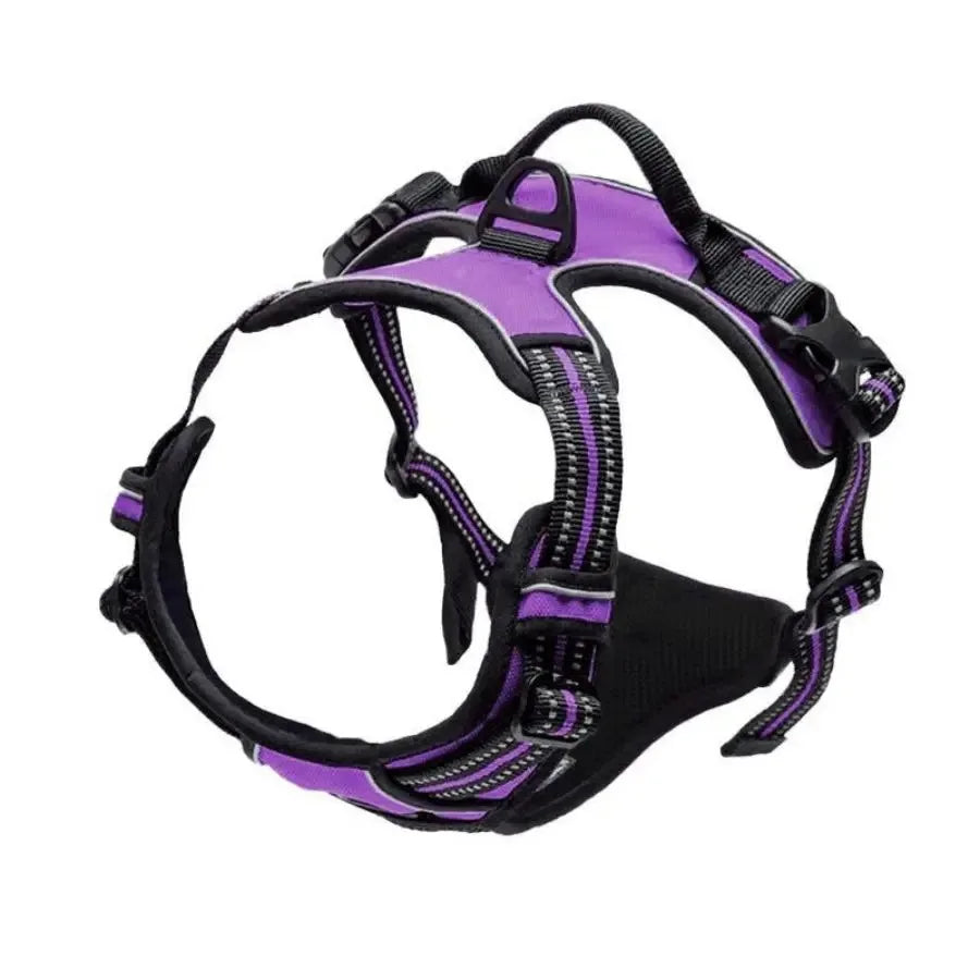 Dog Accessories Set - Leather Collars Harnesses Vests  Leash for Medium  Small Puppies - ZOOMNSTORE