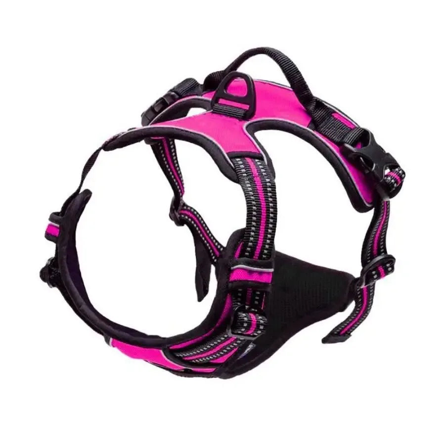 Dog Accessories Set - Leather Collars Harnesses Vests  Leash for Medium  Small Puppies - ZOOMNSTORE