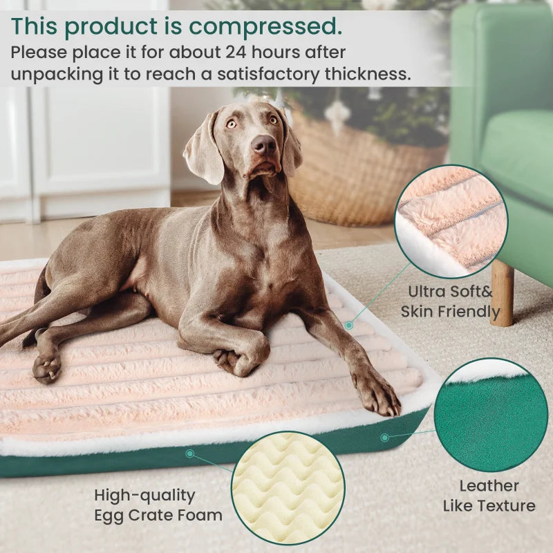 Dog Bed Mat - Washable Zippered Cushion for Small to Medium Dogs and Cats - ZOOMNSTORE