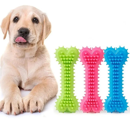 Dog Chew Toy - Durable Rubber Bone for Small Dogs | Teeth Grinding & Training - ZOOMNSTORE