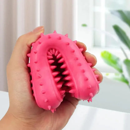 Dog Chew Toy - Durable Rubber Bone for Small Dogs | Teeth Grinding & Training - ZOOMNSTORE
