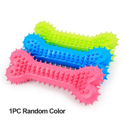 Dog Chew Toy - Durable Rubber Bone for Small Dogs | Teeth Grinding & Training - ZOOMNSTORE