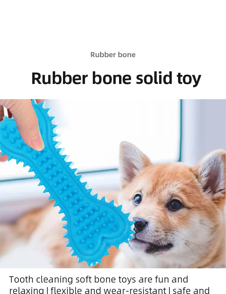 Dog Chew Toy - Durable Rubber Bone for Small Dogs | Teeth Grinding & Training - ZOOMNSTORE