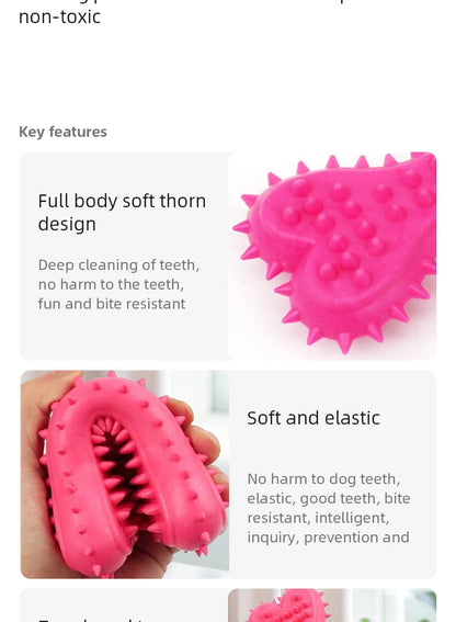 Dog Chew Toy - Durable Rubber Bone for Small Dogs | Teeth Grinding & Training - ZOOMNSTORE