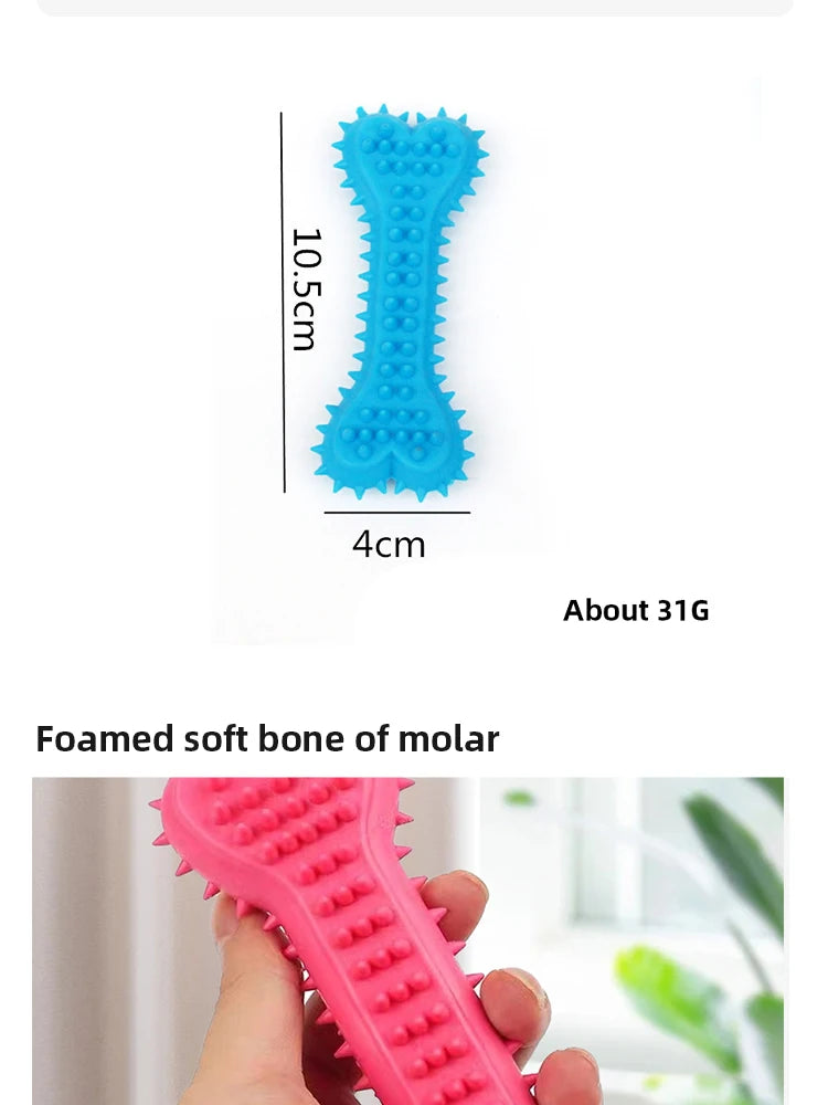 Dog Chew Toy - Durable Rubber Bone for Small Dogs | Teeth Grinding & Training - ZOOMNSTORE