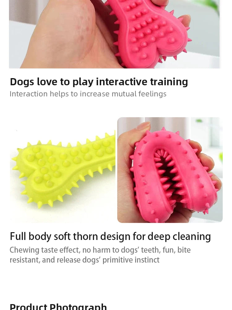 Dog Chew Toy - Durable Rubber Bone for Small Dogs | Teeth Grinding & Training - ZOOMNSTORE