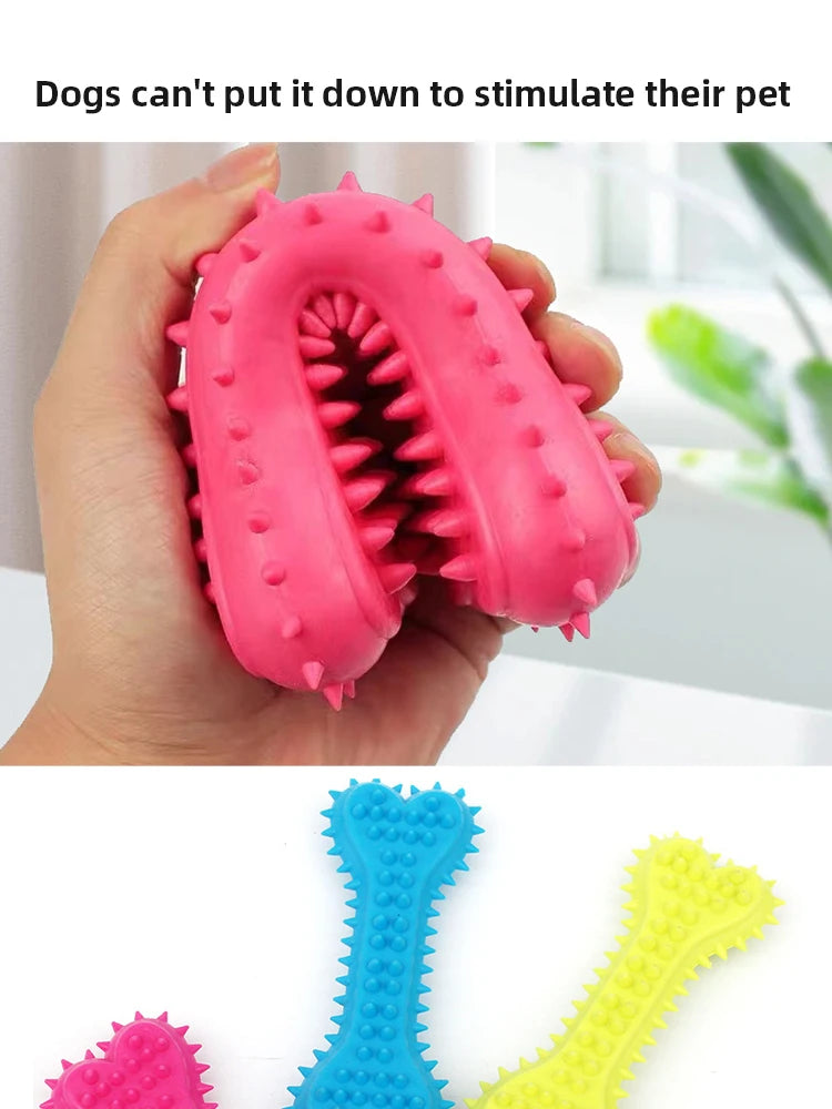 Dog Chew Toy - Durable Rubber Bone for Small Dogs | Teeth Grinding & Training - ZOOMNSTORE