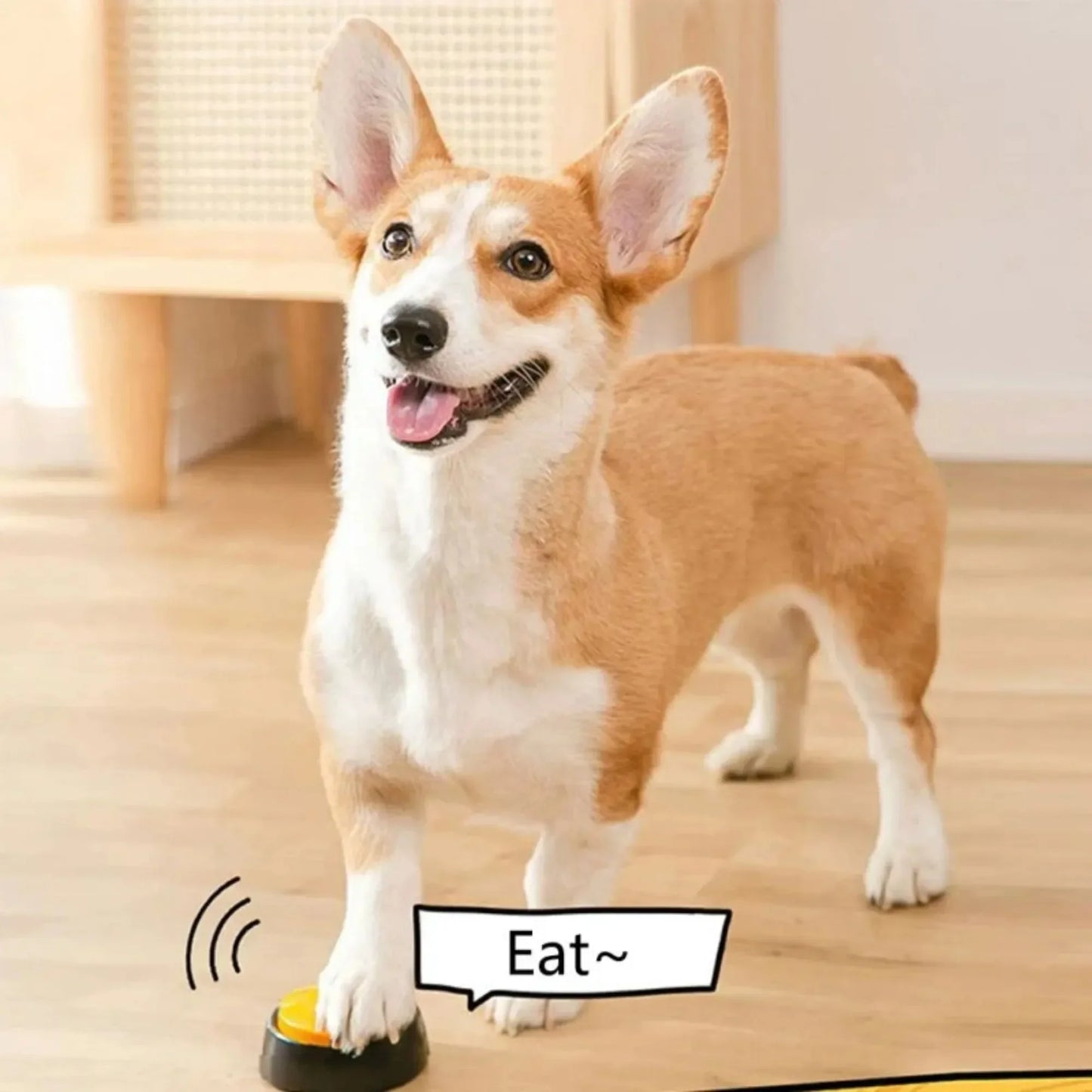 Dog Communication Buttons - Voice Recording Buzzer for Pet Training - ZOOMNSTORE