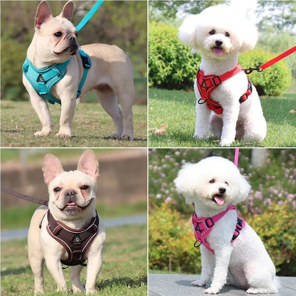 Adjustable No-Pull Dog Harness with 15m Leash - Reflective Breathable Vest for Dogs and Cats - ZOOMNSTORE