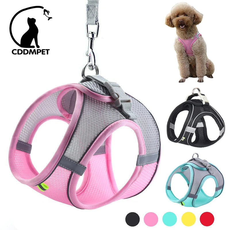 Small Dog Harness and Leash Set - Adjustable Puppy Vest for Bulldogs Chihuahuas and Pugs - ZOOMNSTORE