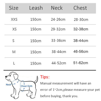 Small Dog Harness and Leash Set - Adjustable Puppy Vest for Bulldogs Chihuahuas and Pugs - ZOOMNSTORE