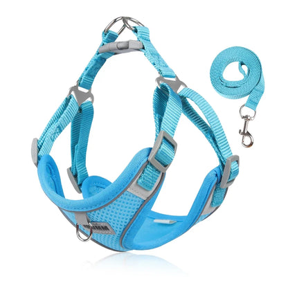 Dog Harness and Leash Set - Reflective Vest for Small to Medium Dogs and Cats - ZOOMNSTORE