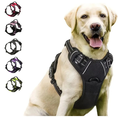 Dog Accessories Set - Leather Collars Harnesses Vests  Leash for Medium  Small Puppies - ZOOMNSTORE