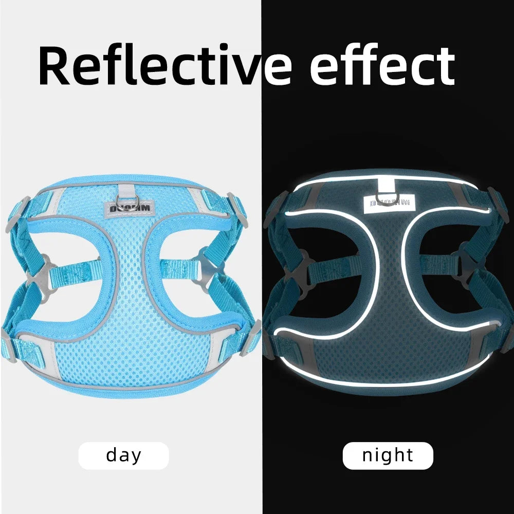 Dog Harness and Leash Set - Reflective Vest for Small to Medium Dogs and Cats - ZOOMNSTORE