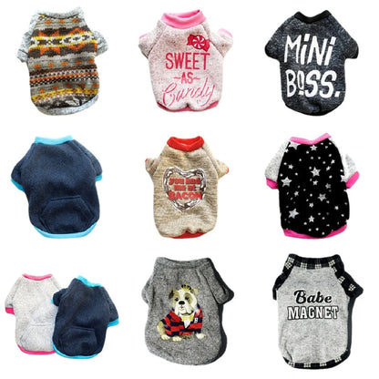 Chihuahua Dog Hoodie - Winter Costume for Small Dogs and Cats - ZOOMNSTORE