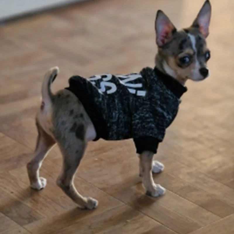Chihuahua Dog Hoodie - Winter Costume for Small Dogs and Cats - ZOOMNSTORE