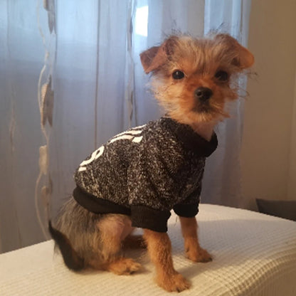 Chihuahua Dog Hoodie - Winter Costume for Small Dogs and Cats - ZOOMNSTORE